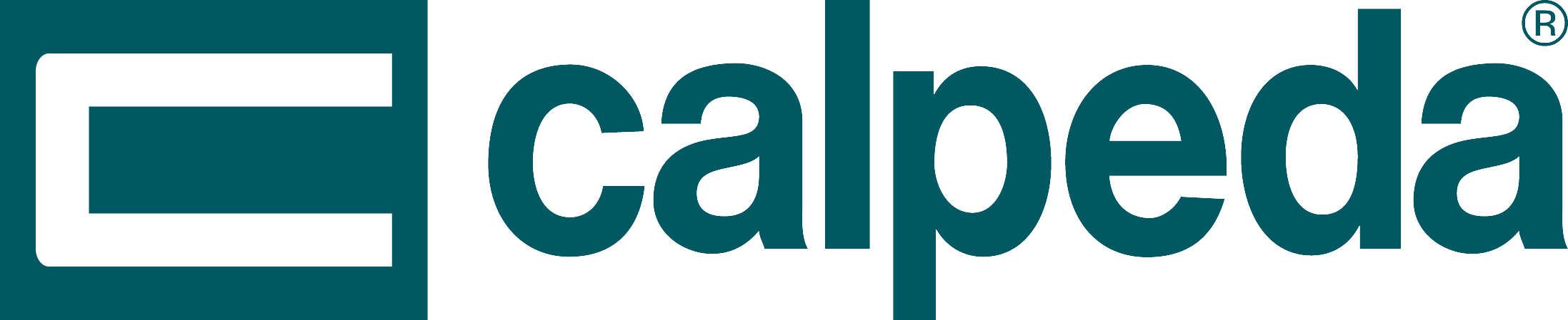 CALPEDA logo
